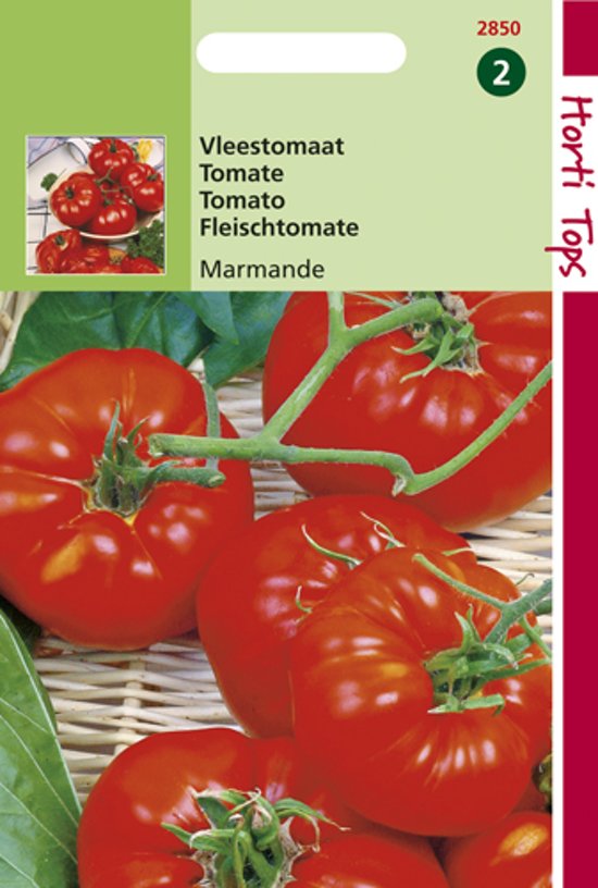 Vleestomaat Marmande (Solanum lycopersicum) 750 zaden HT